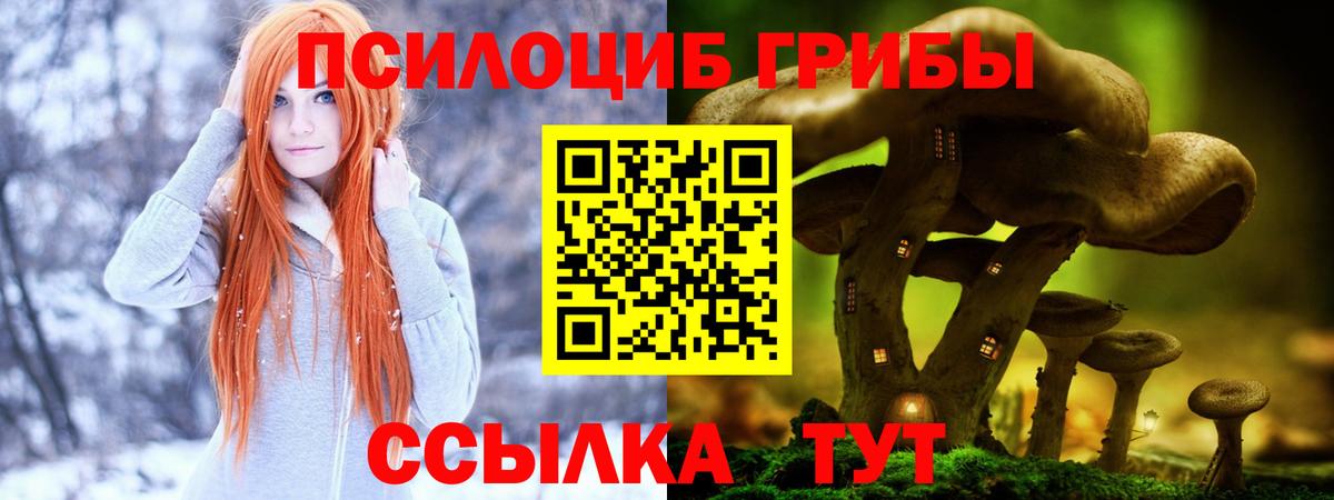 Гагарин  Псилоцибиновые грибы Magic Shrooms  Вход с VPN  Галлюциногенные грибы мицелий 